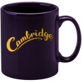 Cambridge Mug 330ml